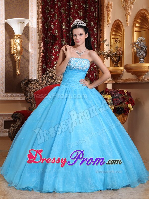 Appliqued and Beaded Baby Blue Organza Sweet Sixteen Dresses