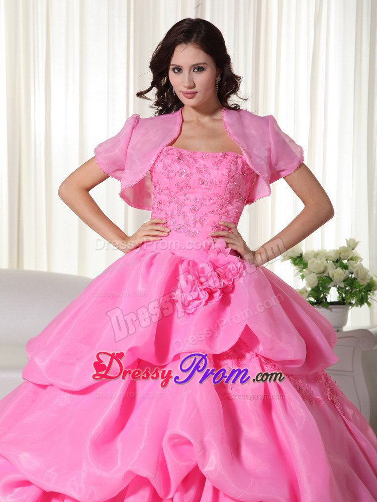 Appliqued and Flowery Organza Sweet 15 Dress in Rose Pink 2014