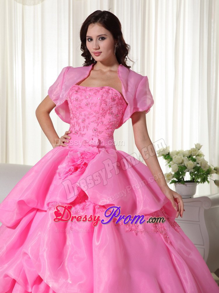 Appliqued and Flowery Organza Sweet 15 Dress in Rose Pink 2014