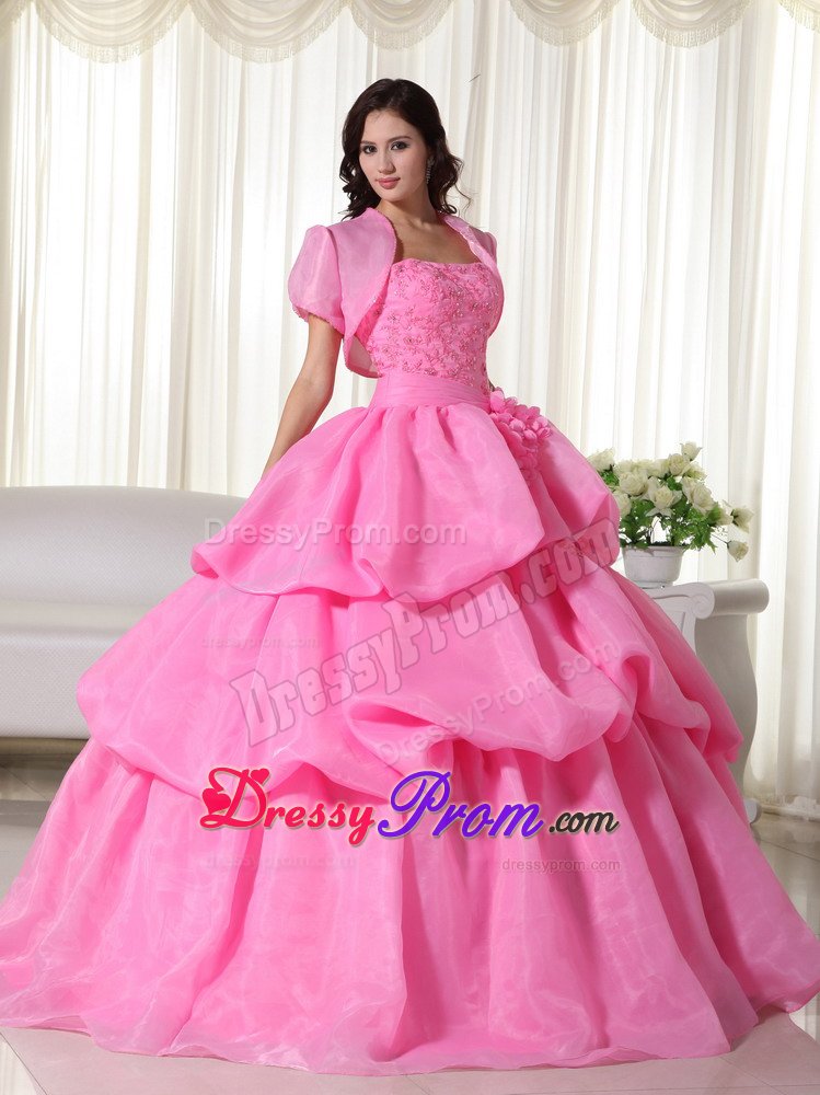 Appliqued and Flowery Organza Sweet 15 Dress in Rose Pink 2014