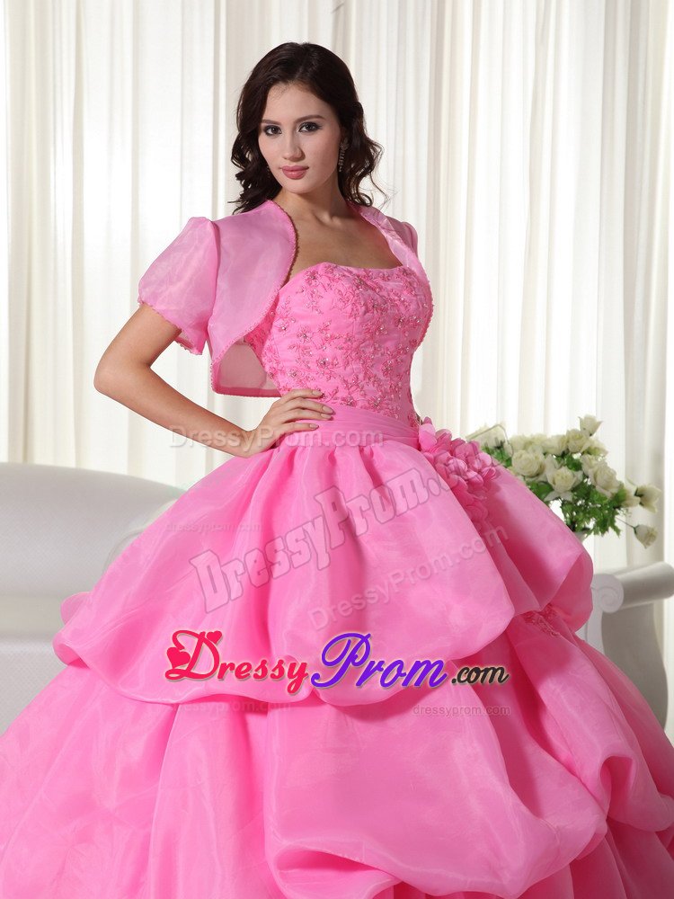 Appliqued and Flowery Organza Sweet 15 Dress in Rose Pink 2014