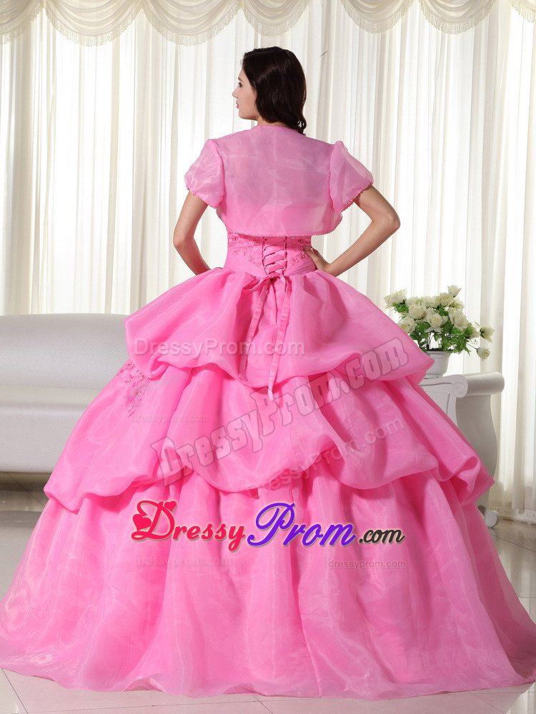 Appliqued and Flowery Organza Sweet 15 Dress in Rose Pink 2014