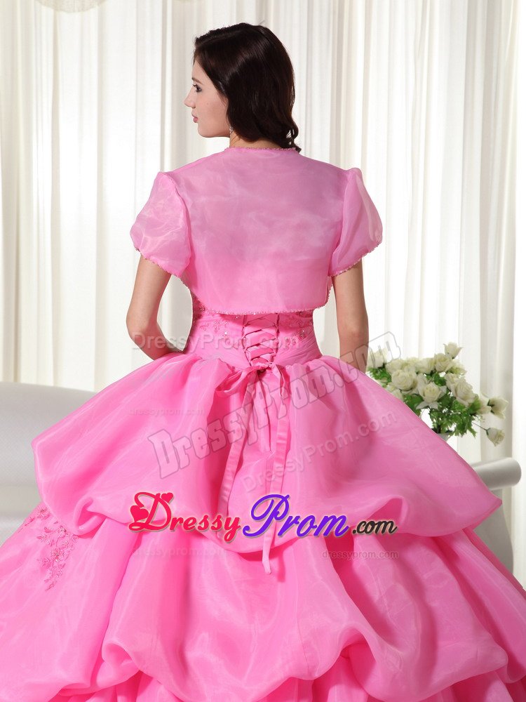 Appliqued and Flowery Organza Sweet 15 Dress in Rose Pink 2014