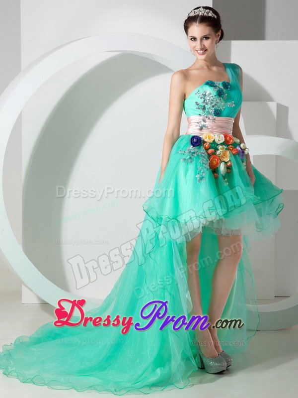 Mint Green One Shoulder High-low Appliqued Prom Homecoming Dress