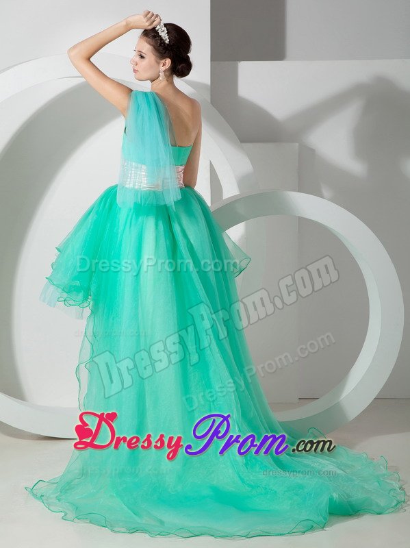 Mint Green One Shoulder High-low Appliqued Prom Homecoming Dress