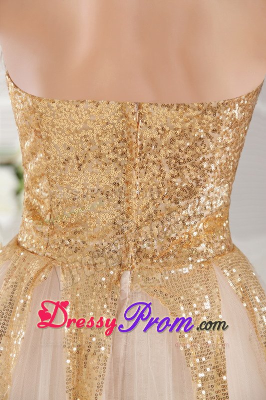Gold Sequined Bodice Long Prom Graduation Dress in Champagne 2014