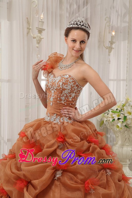 Brown One Shoulder Ball Gown Quinceanera Gown Dresses Appliques