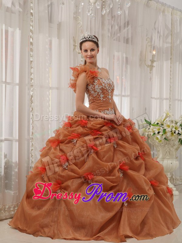 Brown One Shoulder Ball Gown Quinceanera Gown Dresses Appliques