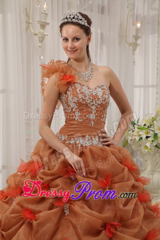 Brown One Shoulder Ball Gown Quinceanera Gown Dresses Appliques