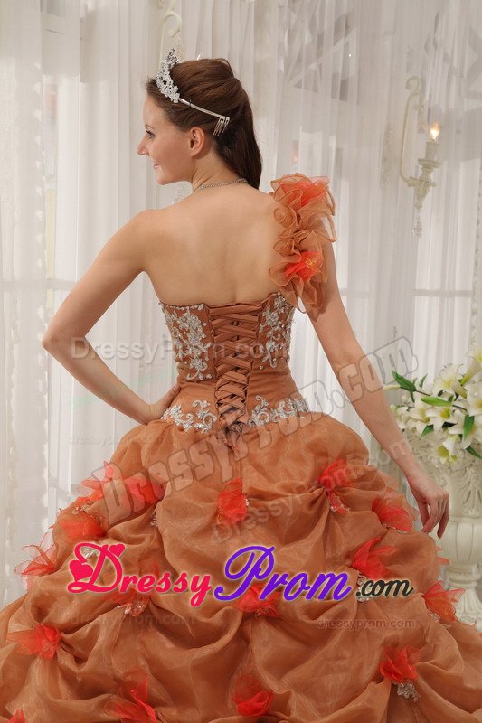 Brown One Shoulder Ball Gown Quinceanera Gown Dresses Appliques