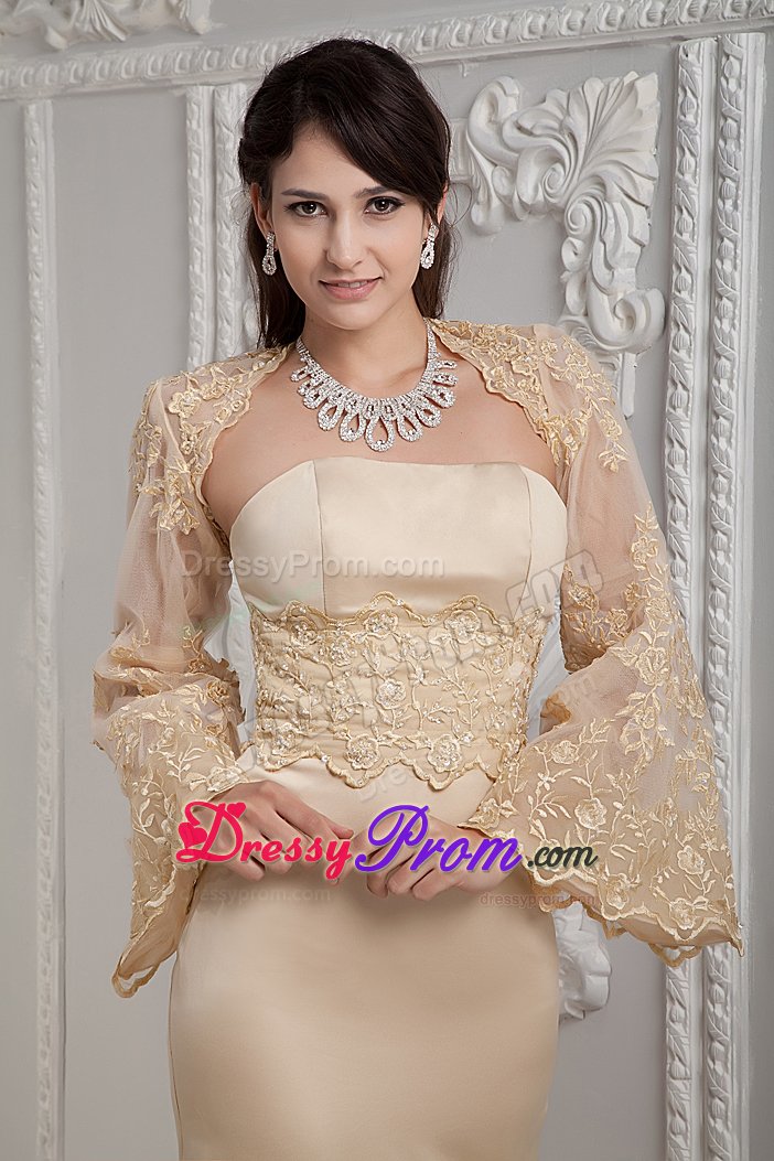 Champagne Column Prom Homecoming Dress with Appliques Brush Train