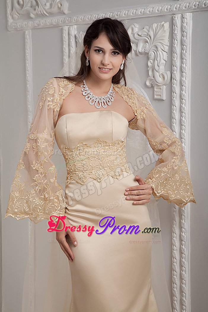 Champagne Column Prom Homecoming Dress with Appliques Brush Train