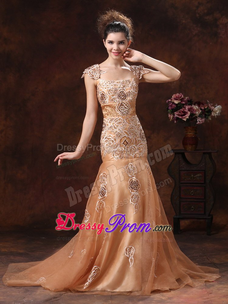 Square Neck Embroidery Brown Prom Dress in Leicestershire