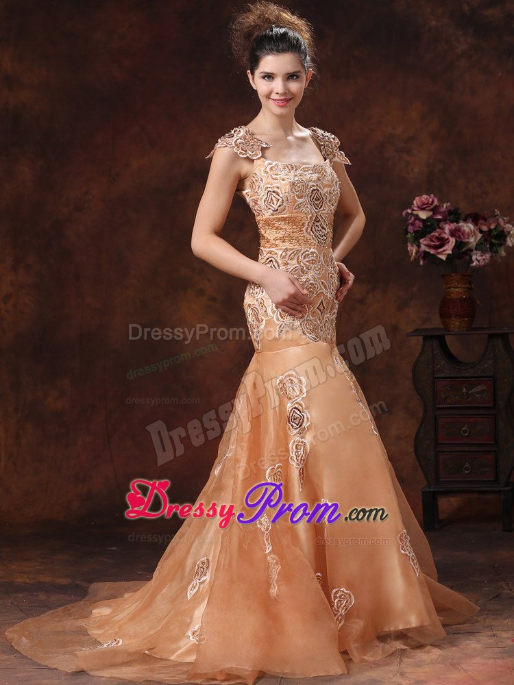 Square Neck Embroidery Brown Prom Dress in Leicestershire