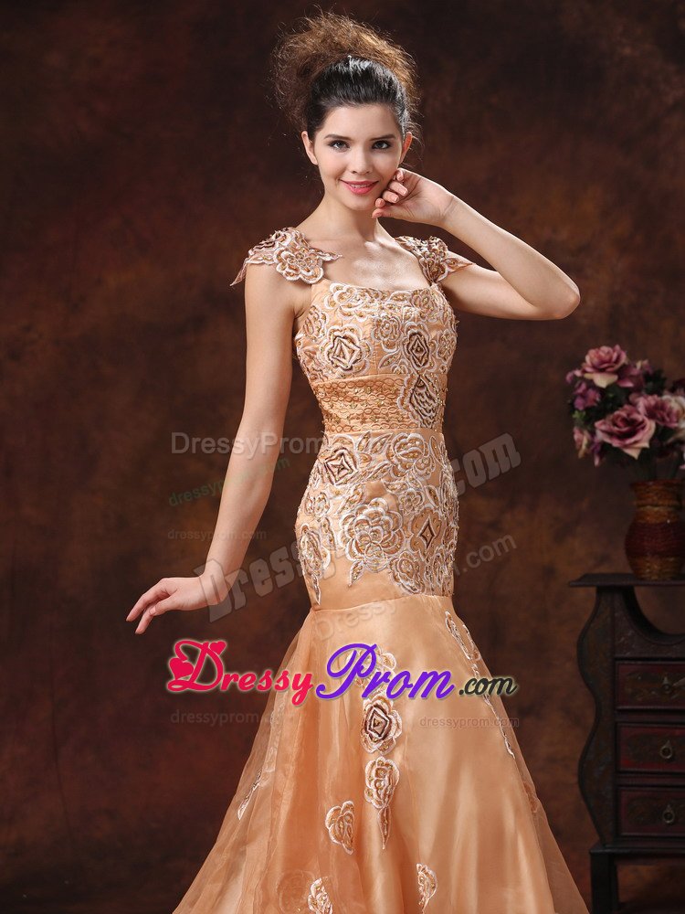 Square Neck Embroidery Brown Prom Dress in Leicestershire