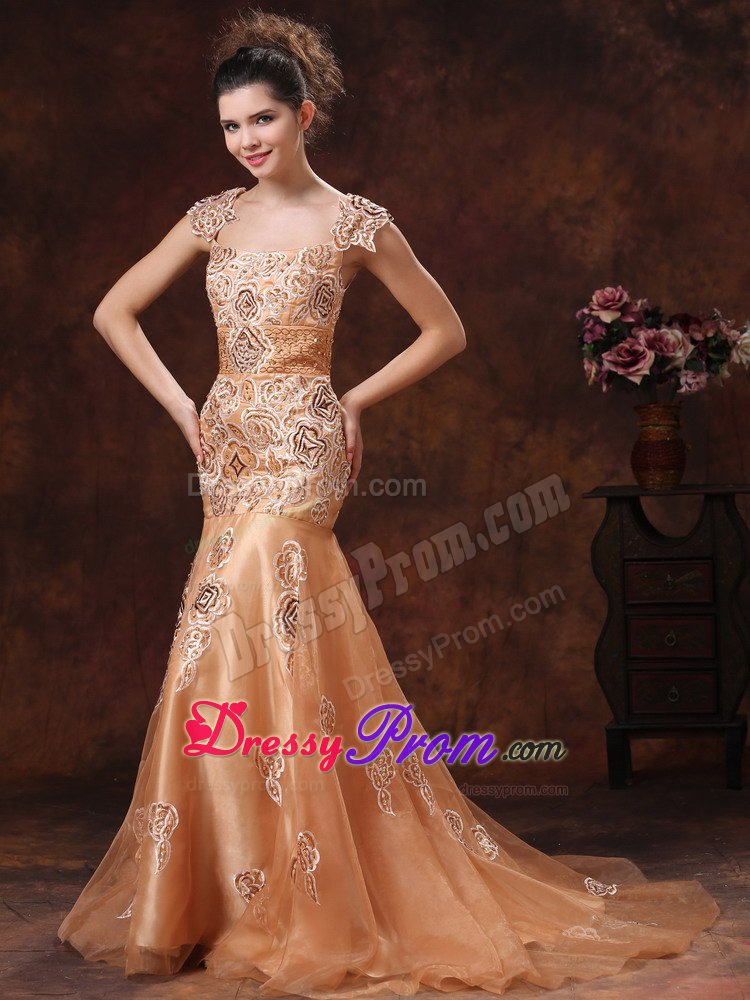 Square Neck Embroidery Brown Prom Dress in Leicestershire