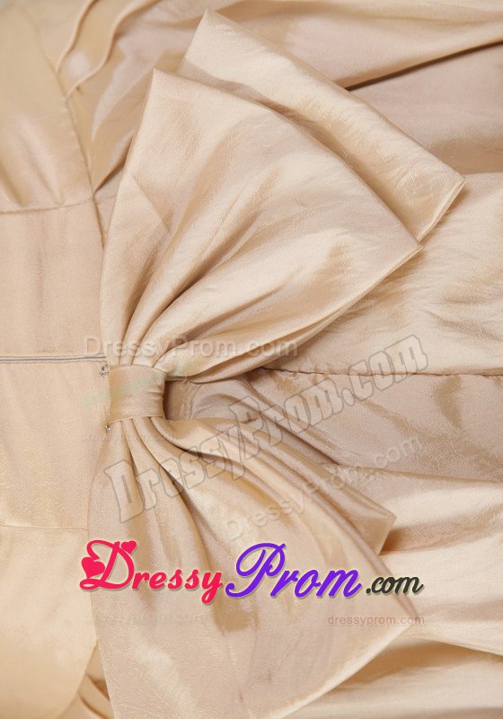 Pick ups Accent Champagne Prom Evening Dress with Spaghetti Straps