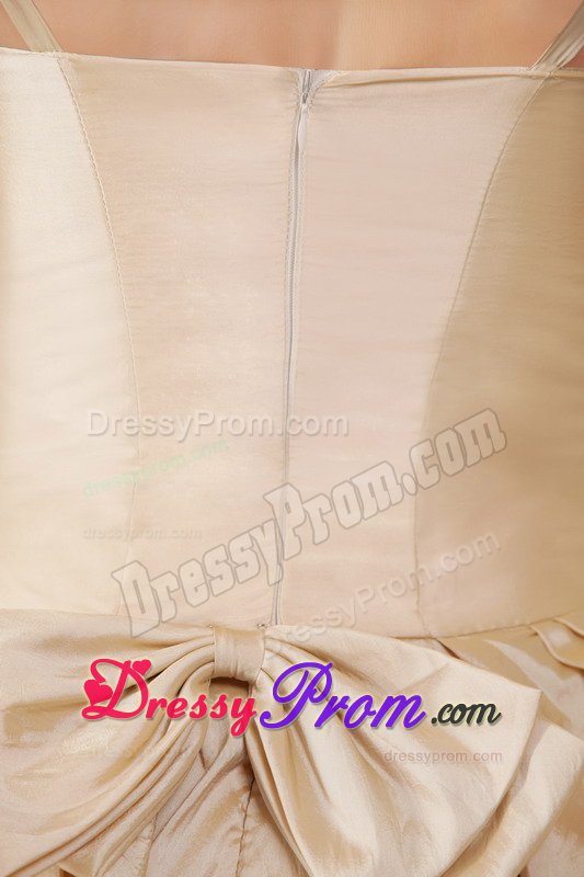 Pick ups Accent Champagne Prom Evening Dress with Spaghetti Straps