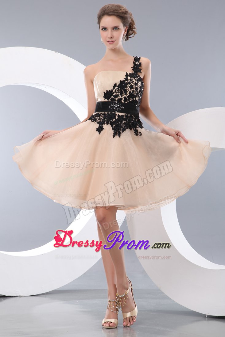 Champagne One Shoulder Prom Gown Dress with Black Appliques