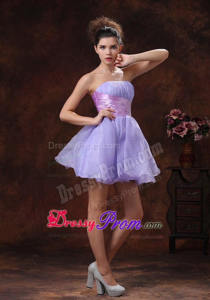 Lovely Lilac Strapless Prom Graduation Dress Mini-length Lace up Back
