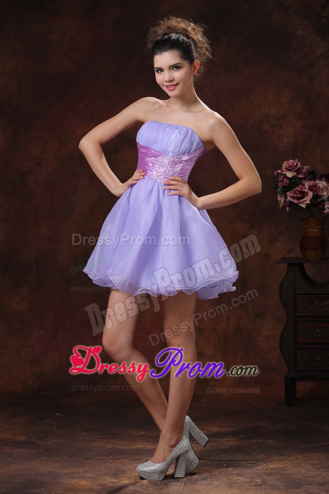 Lovely Lilac Strapless Prom Graduation Dress Mini-length Lace up Back