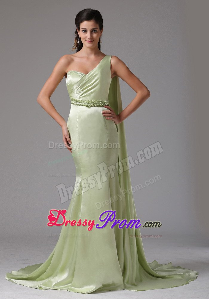 Dazzling Watteau Train Prom Holiday Dress Single Shoulder in Canoas