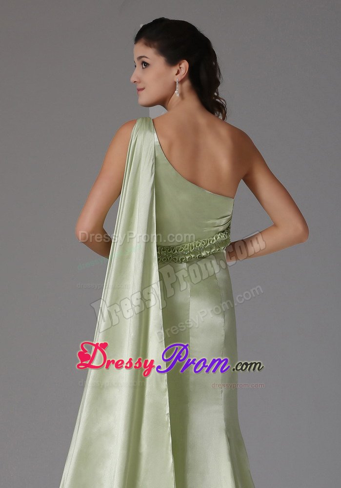 Dazzling Watteau Train Prom Holiday Dress Single Shoulder in Canoas