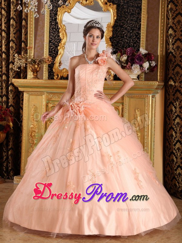 Recommended Appliques Quinceanera Dress Hand Made Flowers Tulle