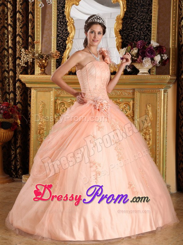 Recommended Appliques Quinceanera Dress Hand Made Flowers Tulle