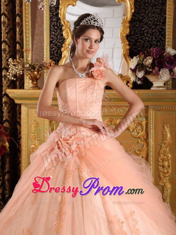 Recommended Appliques Quinceanera Dress Hand Made Flowers Tulle