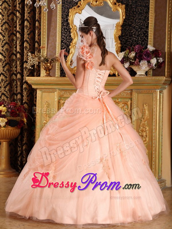 Recommended Appliques Quinceanera Dress Hand Made Flowers Tulle
