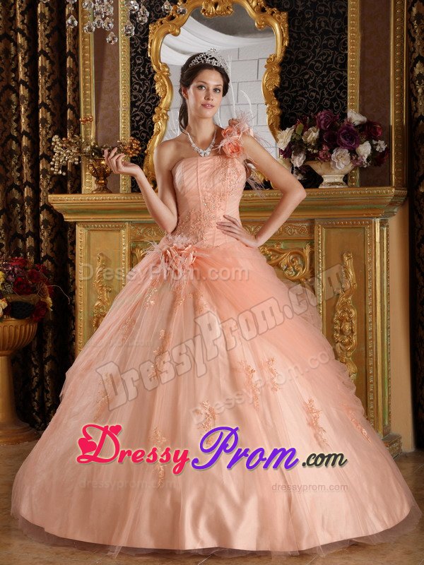 Recommended Appliques Quinceanera Dress Hand Made Flowers Tulle