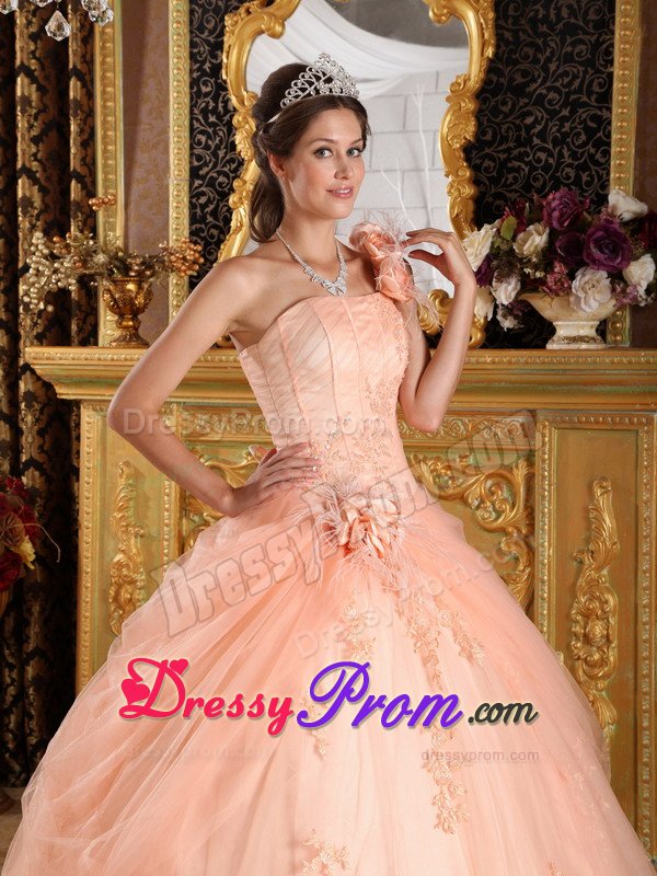 Recommended Appliques Quinceanera Dress Hand Made Flowers Tulle