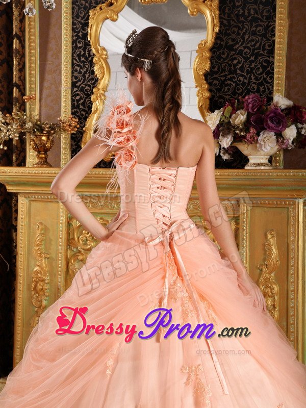 Recommended Appliques Quinceanera Dress Hand Made Flowers Tulle