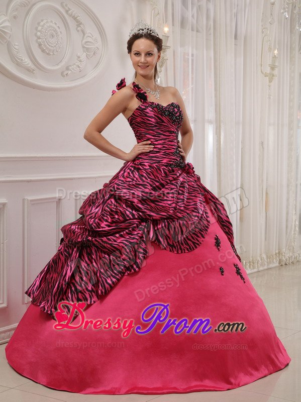 Appliqued Flowery One Shoulder Hot Pink Sweet 15 Dresses Zebra