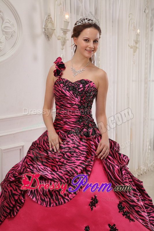 Appliqued Flowery One Shoulder Hot Pink Sweet 15 Dresses Zebra