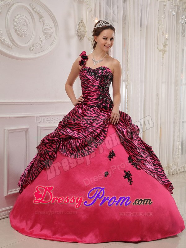Appliqued Flowery One Shoulder Hot Pink Sweet 15 Dresses Zebra