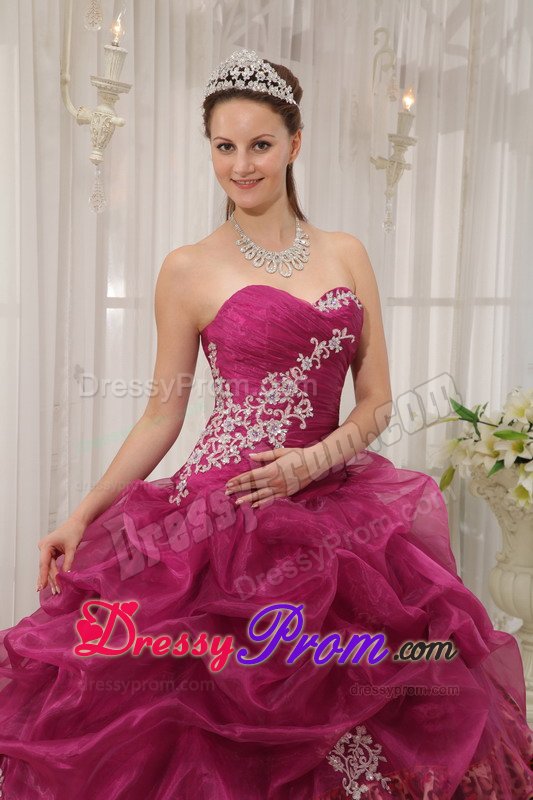 Appliqued Burgundy Sweet 15 Dresses with Pick ups and Leopard Print