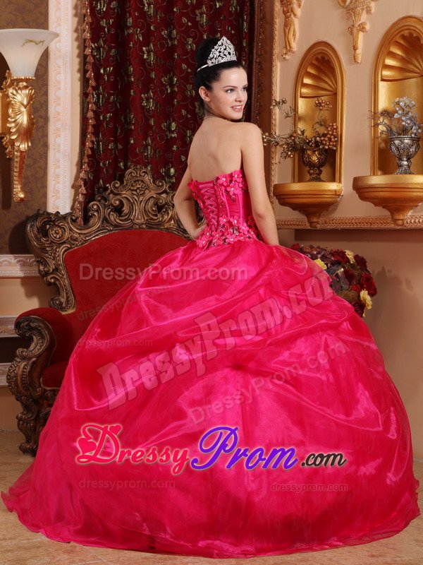 Appliques and Pick ups Accent Quinceanera Gown Dresses in Hot Pink