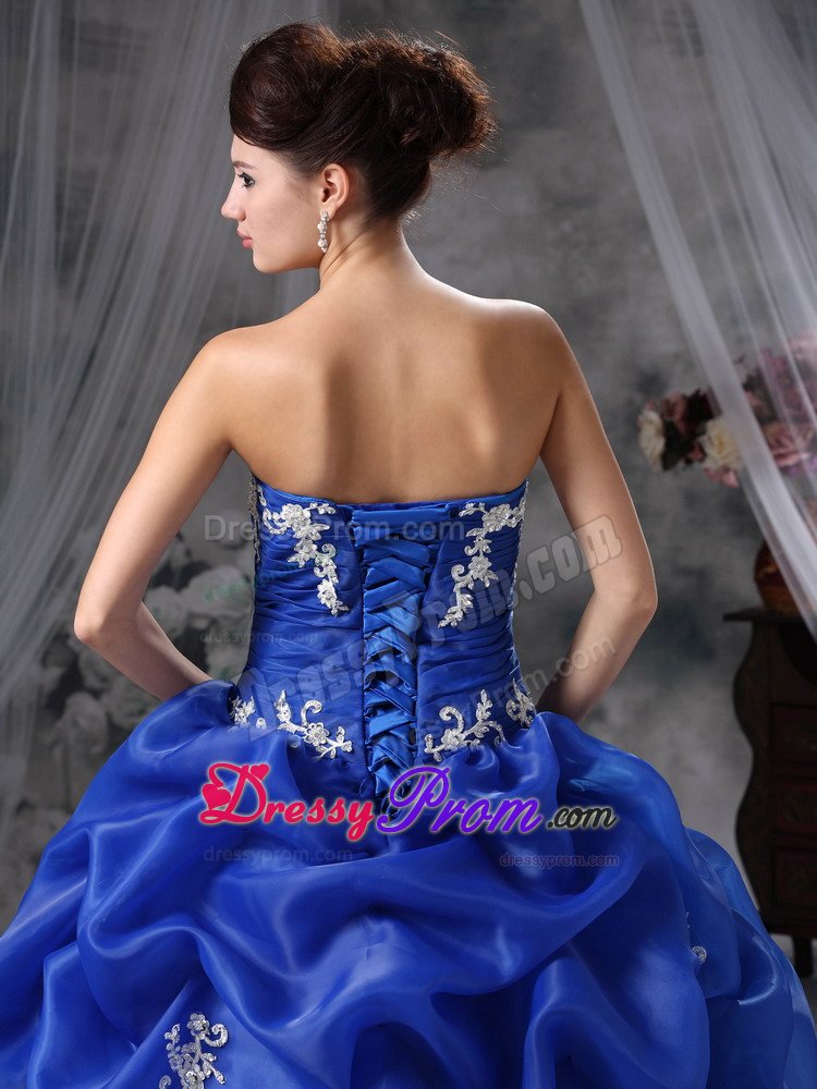 Appliques and Pick ups Accent Blue Organza Quinces Dresses 2014