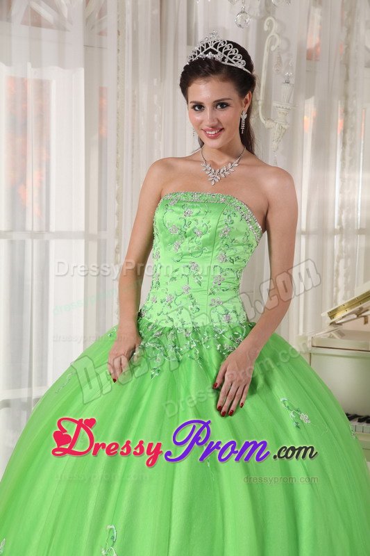 Roseville CA Beaded Taffeta Quinces Dresses in Spring Green 2014
