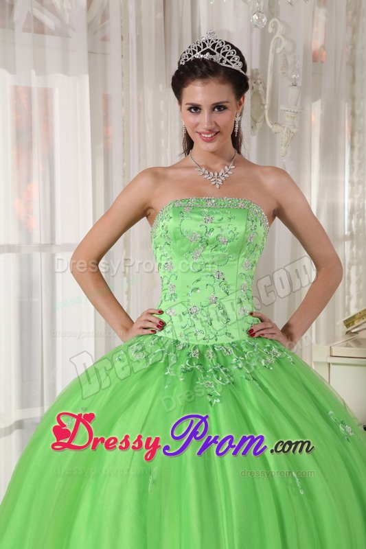 Roseville CA Beaded Taffeta Quinces Dresses in Spring Green 2014