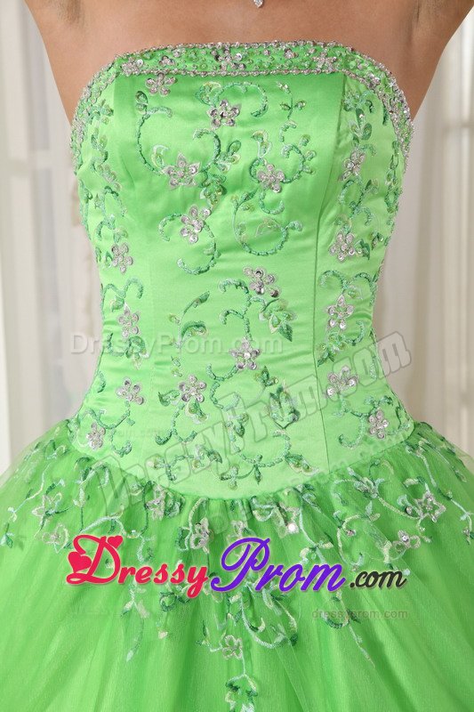 Roseville CA Beaded Taffeta Quinces Dresses in Spring Green 2014