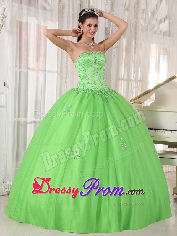 Roseville CA Beaded Taffeta Quinces Dresses in Spring Green 2014