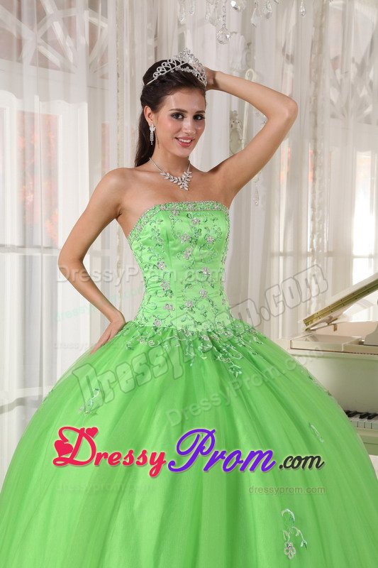 Roseville CA Beaded Taffeta Quinces Dresses in Spring Green 2014