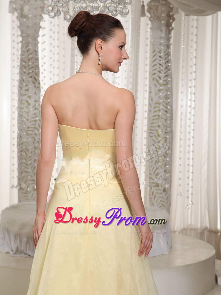 Flowers and Beading Accent Prom Graduation Dress in Light Yellow