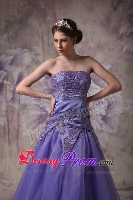 Camarillo CA Appliqued Purple Organza Long Prom Formal Dresses