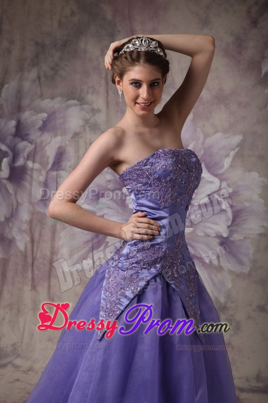 Camarillo CA Appliqued Purple Organza Long Prom Formal Dresses