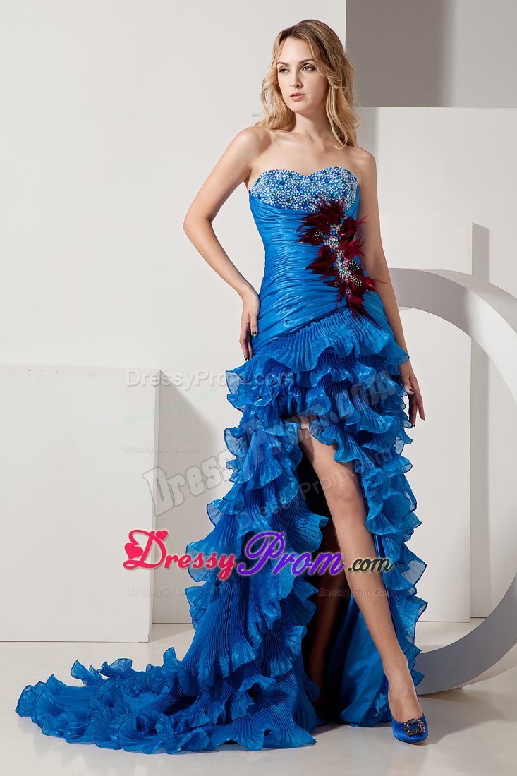 blue feather gown