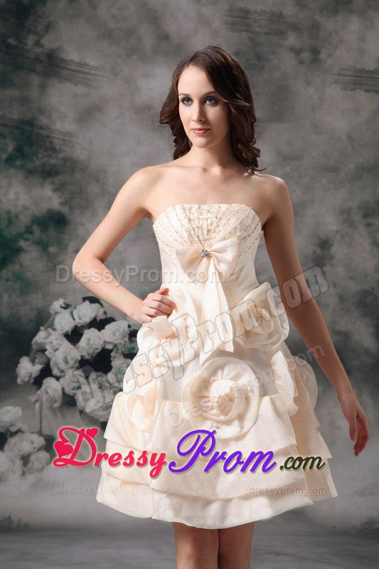 Champagne Mini Prom Holiday Dress with Handmade Flowers